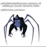 Free download Spiderman peruano [ Meme ] free photo or picture to be edited with GIMP online image editor